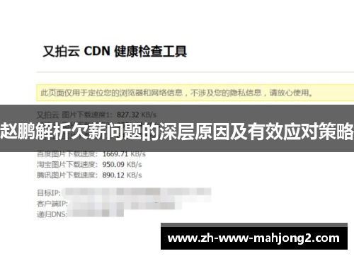 赵鹏解析欠薪问题的深层原因及有效应对策略