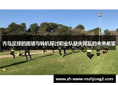 青岛足球的困境与转机探讨职业队缺失背后的未来希望